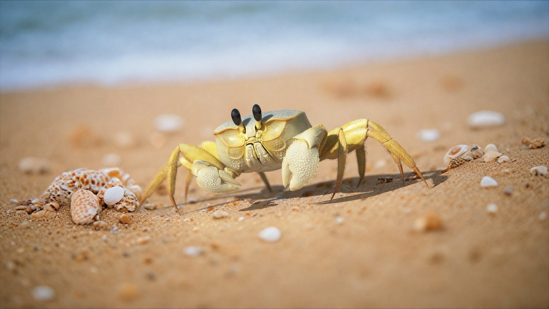 3D Marine Crustaceans Bundle Rigged https://p.turbosquid.com/ts-thumb/PX/Zkslqa/wp/ghost_crab_on_bg_01/jpg/1775822242/1920x1080/fit_q87/51d96b30181ded70fdaec71edc7e275661a7fc4d/ghost_crab_on_bg_01.jpg