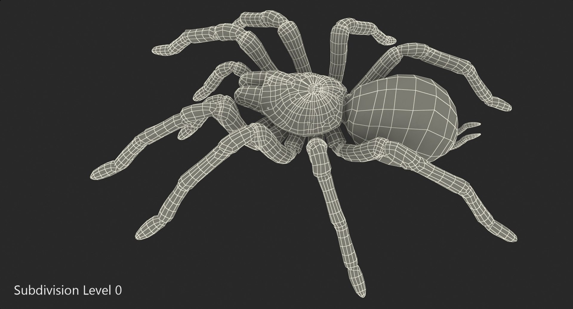 goliath birdeater rigged 3D https://p.turbosquid.com/ts-thumb/PX/iLKNup/GX9OjypC/goliathbirdeaterriggedvray3dmodel019/jpg/1519162901/1920x1080/fit_q87/d907521107ada6d39d0aeaabe0609b189116f760/goliathbirdeaterriggedvray3dmodel019.jpg
