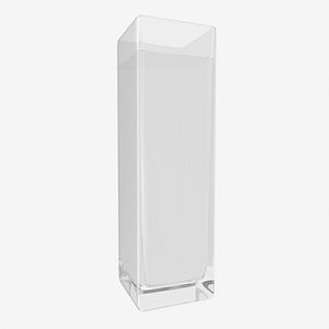 Square Glass Vase with Water
