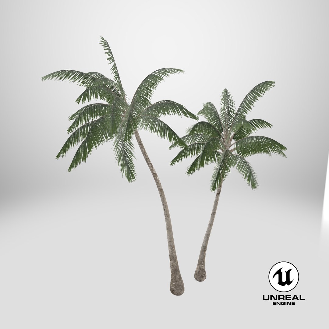 3D model Palm Tree https://p.turbosquid.com/ts-thumb/PX/r82bDF/Cc/stemcell_unreal_render/png/1737903350/1920x1080/fit_q87/090207c1a84299d4848330596fa69bc4d83468b5/stemcell_unreal_render.jpg