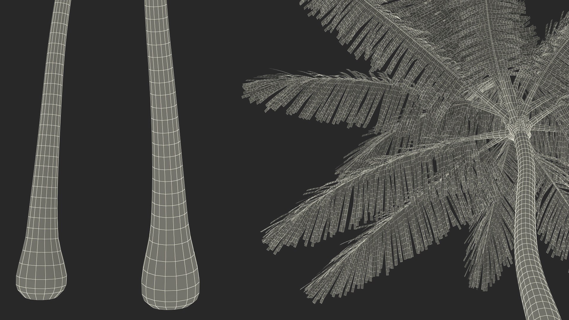 3D model Palm Tree https://p.turbosquid.com/ts-thumb/PX/r82bDF/MA/palm_tree_028/jpg/1736773150/1920x1080/fit_q87/0ee9fdc4a768dcd2e1cb48274ea5621635a97b80/palm_tree_028.jpg