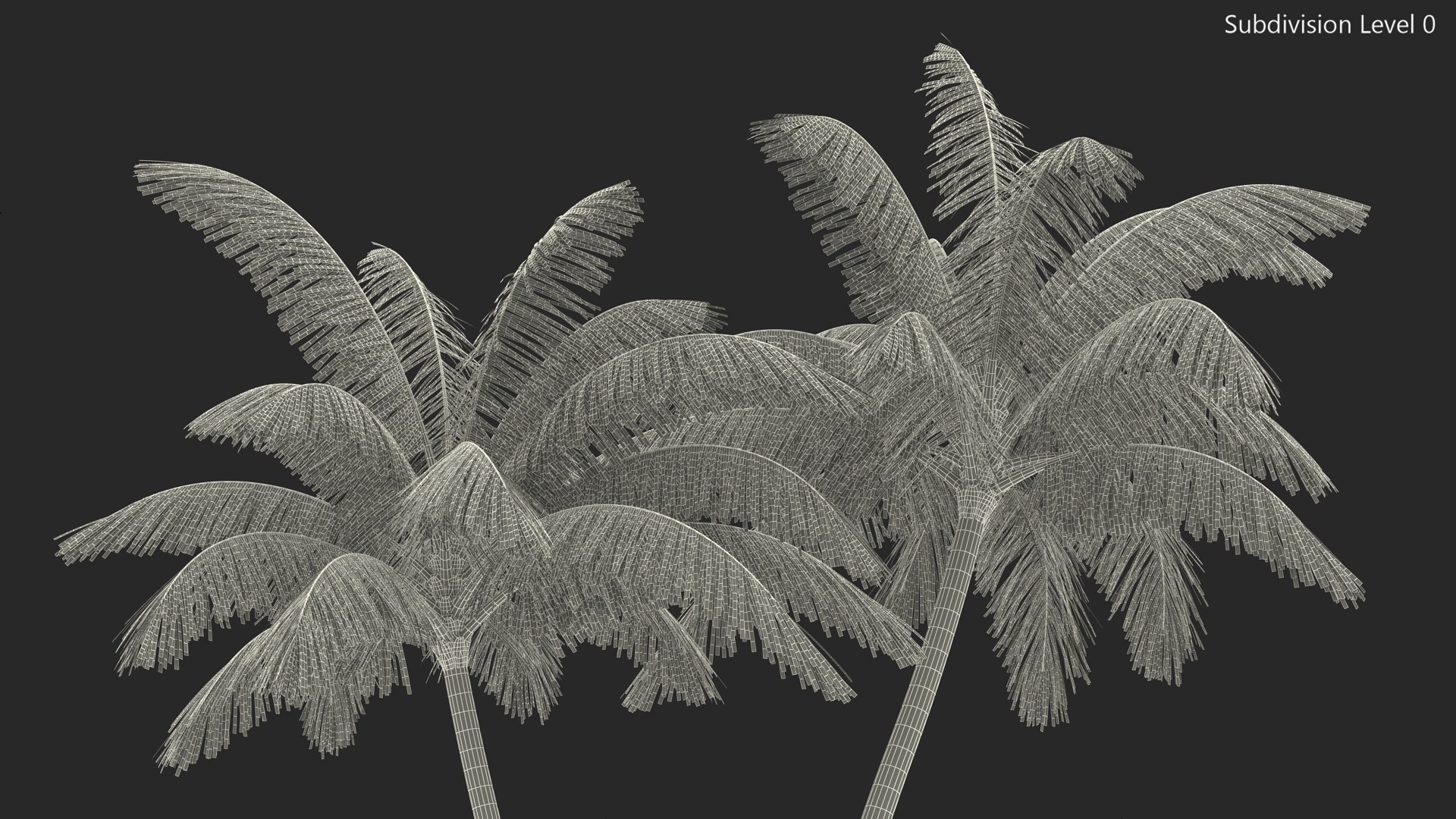 3D model Palm Tree https://p.turbosquid.com/ts-thumb/PX/r82bDF/ML/palm_tree_017/jpg/1736712080/1920x1080/fit_q87/766edbff8df08f1f6e4f81c86dac8cc3a26ba082/palm_tree_017.jpg