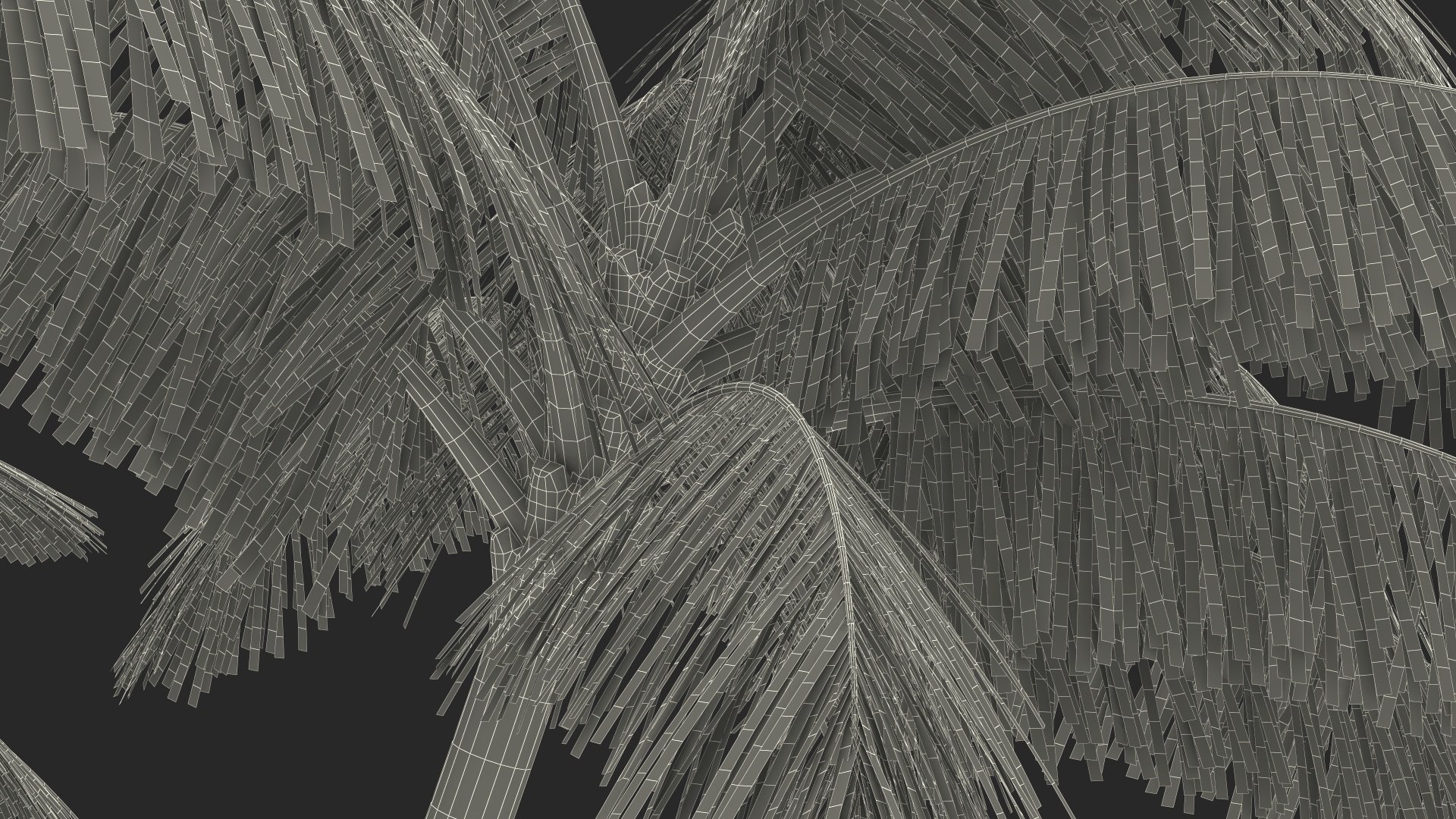 3D model Palm Tree https://p.turbosquid.com/ts-thumb/PX/r82bDF/Ox/palm_tree_024/jpg/1736773143/1920x1080/fit_q87/67890ec3172302a7c4c56a87965abf3c27472d56/palm_tree_024.jpg