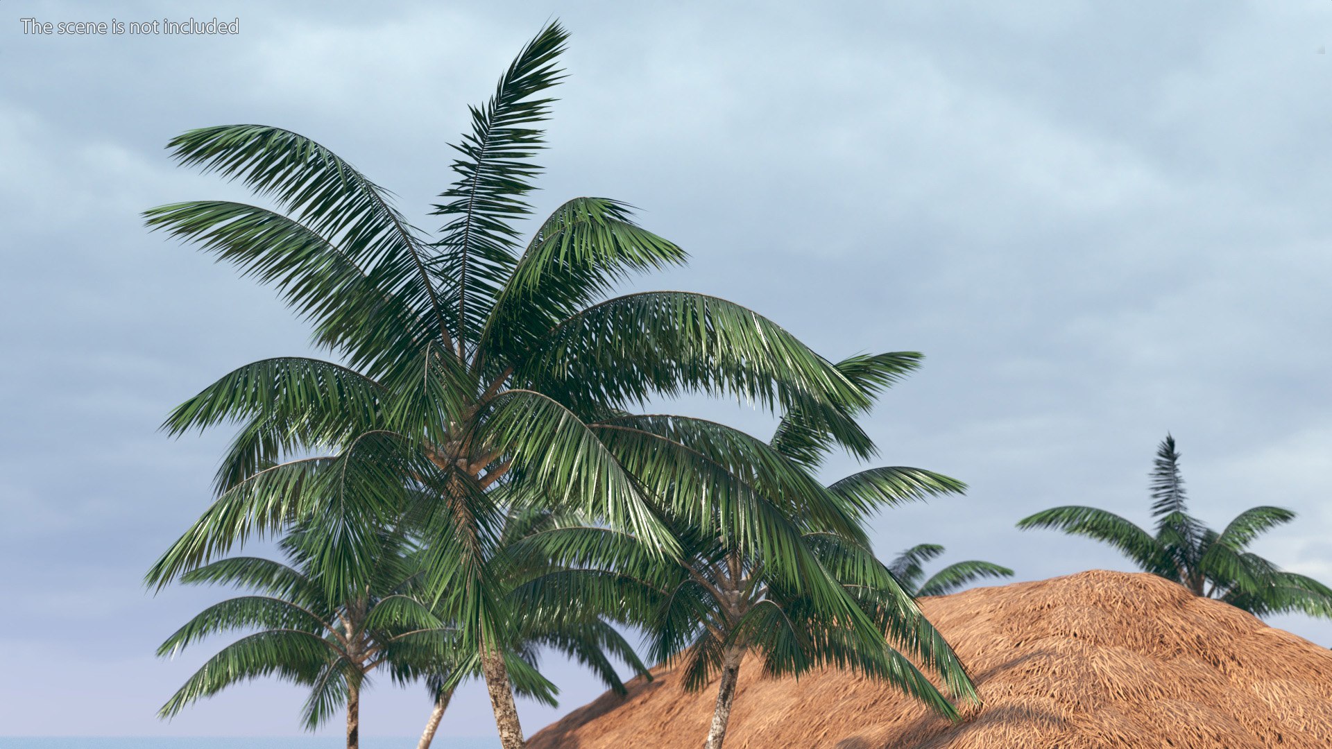 3D model Palm Tree https://p.turbosquid.com/ts-thumb/PX/r82bDF/Si/palm_tree_004/jpg/1736711996/1920x1080/fit_q87/6203869d10b30918818527e7edcee5a285138c82/palm_tree_004.jpg