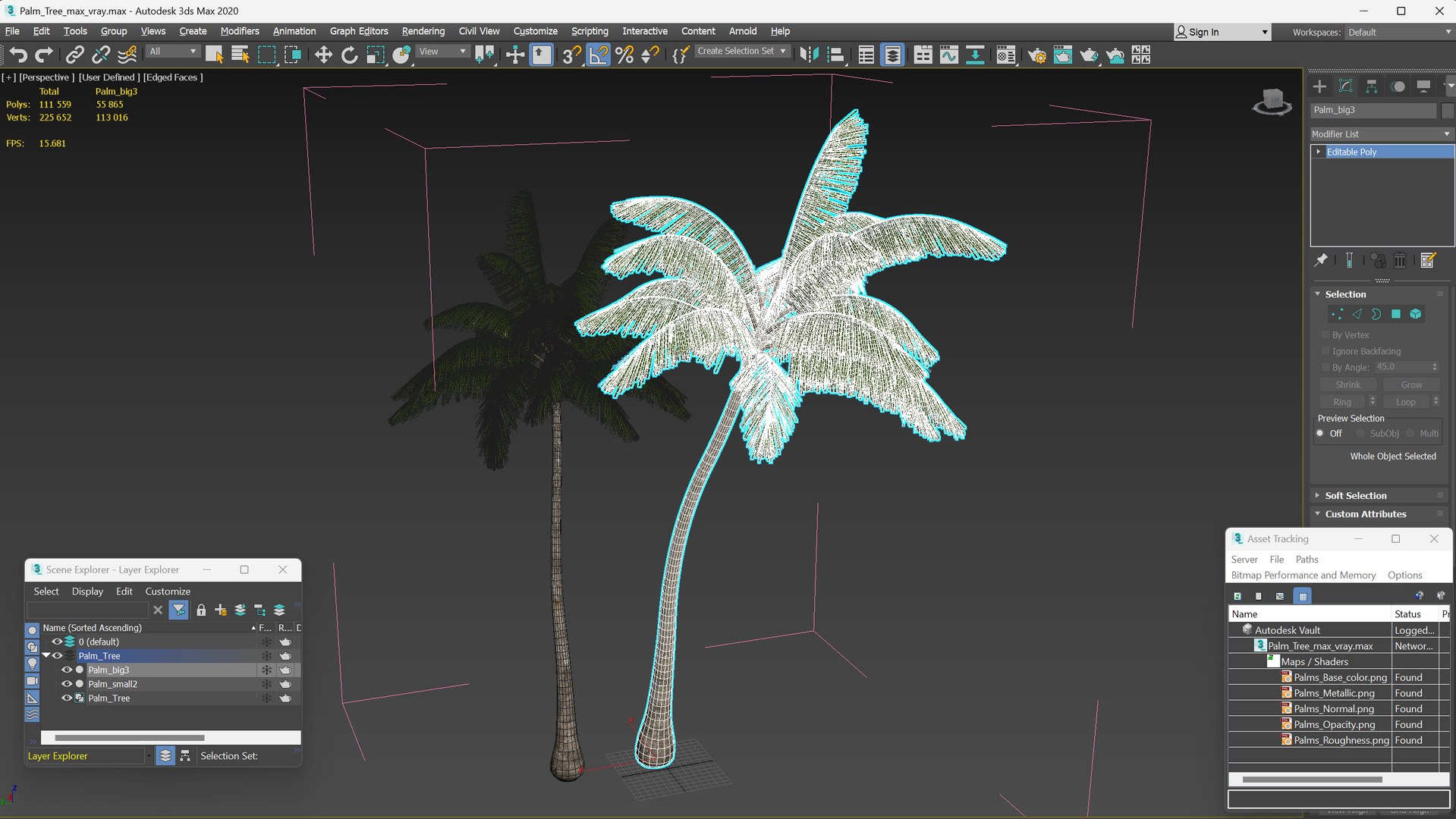 3D model Palm Tree https://p.turbosquid.com/ts-thumb/PX/r82bDF/YU/palm_tree_021/jpg/1736773136/1920x1080/fit_q87/f93387278b85610b7b10d74a64907ac4195f9d97/palm_tree_021.jpg