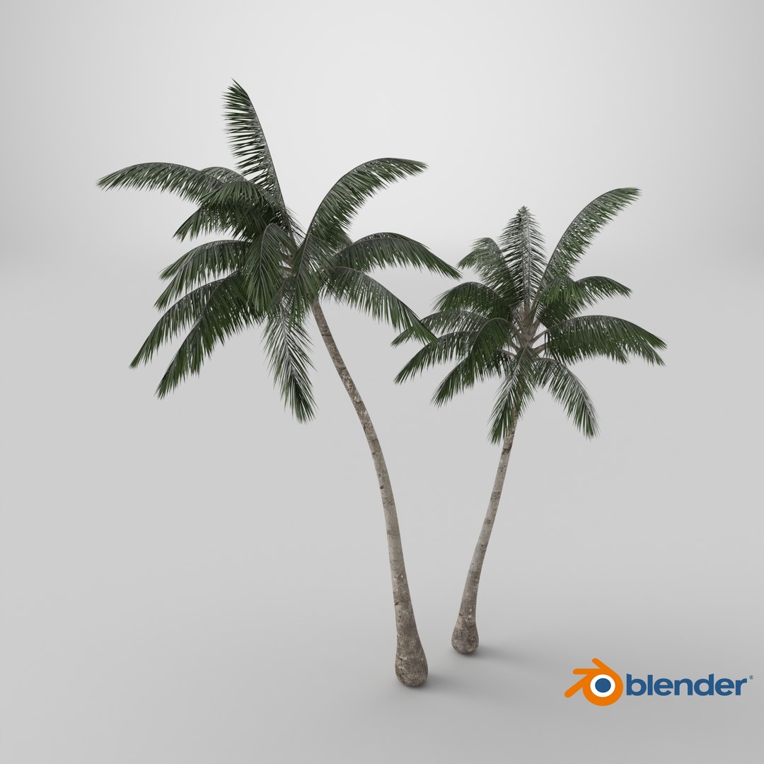 3D model Palm Tree https://p.turbosquid.com/ts-thumb/PX/r82bDF/q5/stemcell_blender_cycles_render/png/1737903338/1920x1080/fit_q87/0e61728c3b95611a6876d002f67483290966ca2d/stemcell_blender_cycles_render.jpg