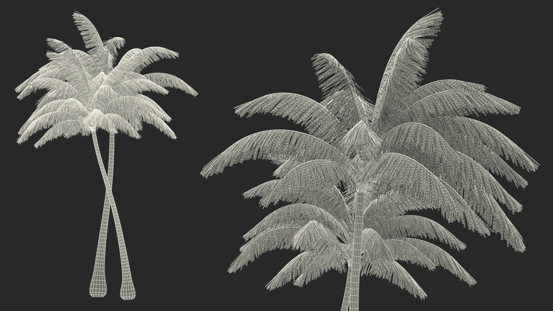 3D model Palm Tree https://p.turbosquid.com/ts-thumb/PX/r82bDF/rA/palm_tree_022/jpg/1736773138/1920x1080/fit_q87/8d44fc088ab752cfea4ba8f459a2542614884246/palm_tree_022.jpg