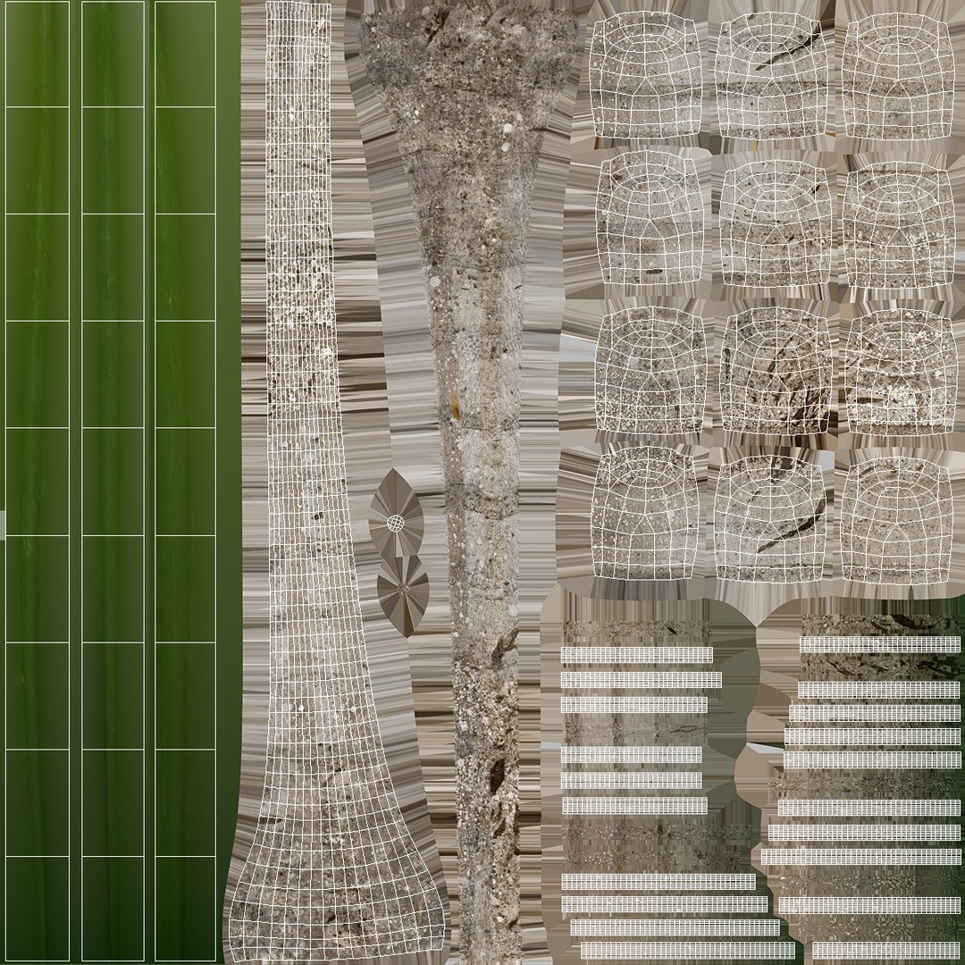 3D model Palm Tree https://p.turbosquid.com/ts-thumb/PX/r82bDF/sS/palm_tree_019/jpg/1736773135/1920x1080/fit_q87/bd39b9dce787845779bda3be1ebf25f9663277be/palm_tree_019.jpg
