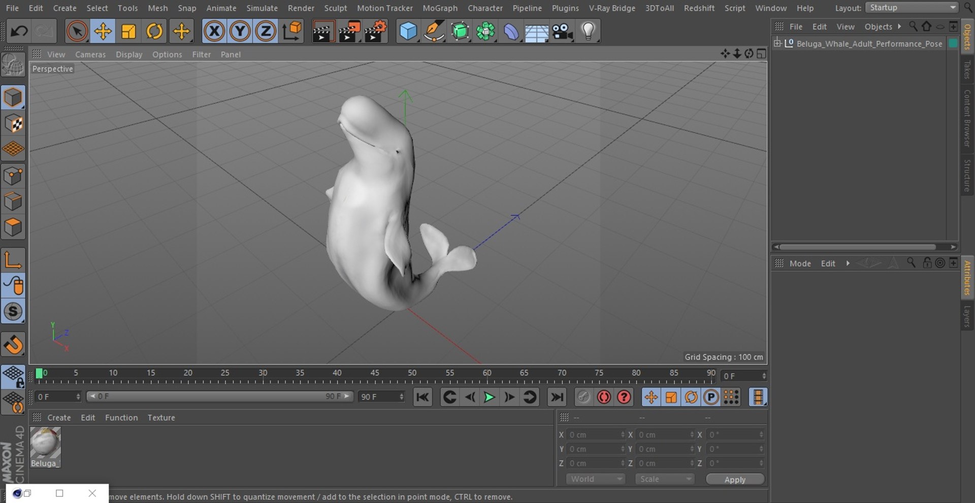 Beluga Whale Adult Performance Pose 3D model https://p.turbosquid.com/ts-thumb/PX/udkfDx/2L/belugawhaleadultperformancepose3dsmodel022/jpg/1676364671/1920x1080/fit_q87/eba88eccf8521c7f3865ad591237e9bcfc2dba31/belugawhaleadultperformancepose3dsmodel022.jpg