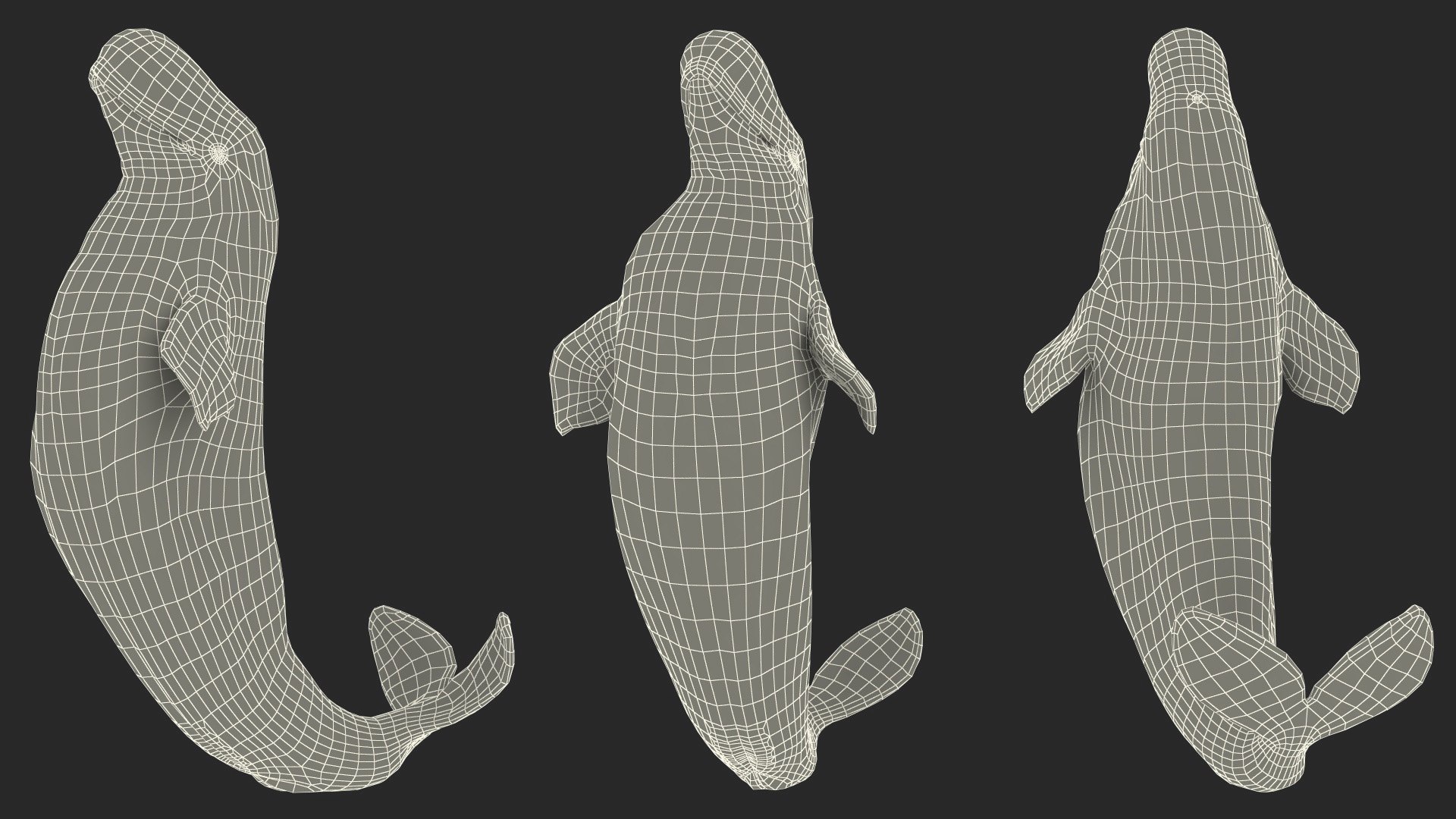 Beluga Whale Adult Performance Pose 3D model https://p.turbosquid.com/ts-thumb/PX/udkfDx/G2/belugawhaleadultperformancepose3dsmodel025/jpg/1676364681/1920x1080/fit_q87/f50068271871da0f5b9555eb6e063b443aa28069/belugawhaleadultperformancepose3dsmodel025.jpg