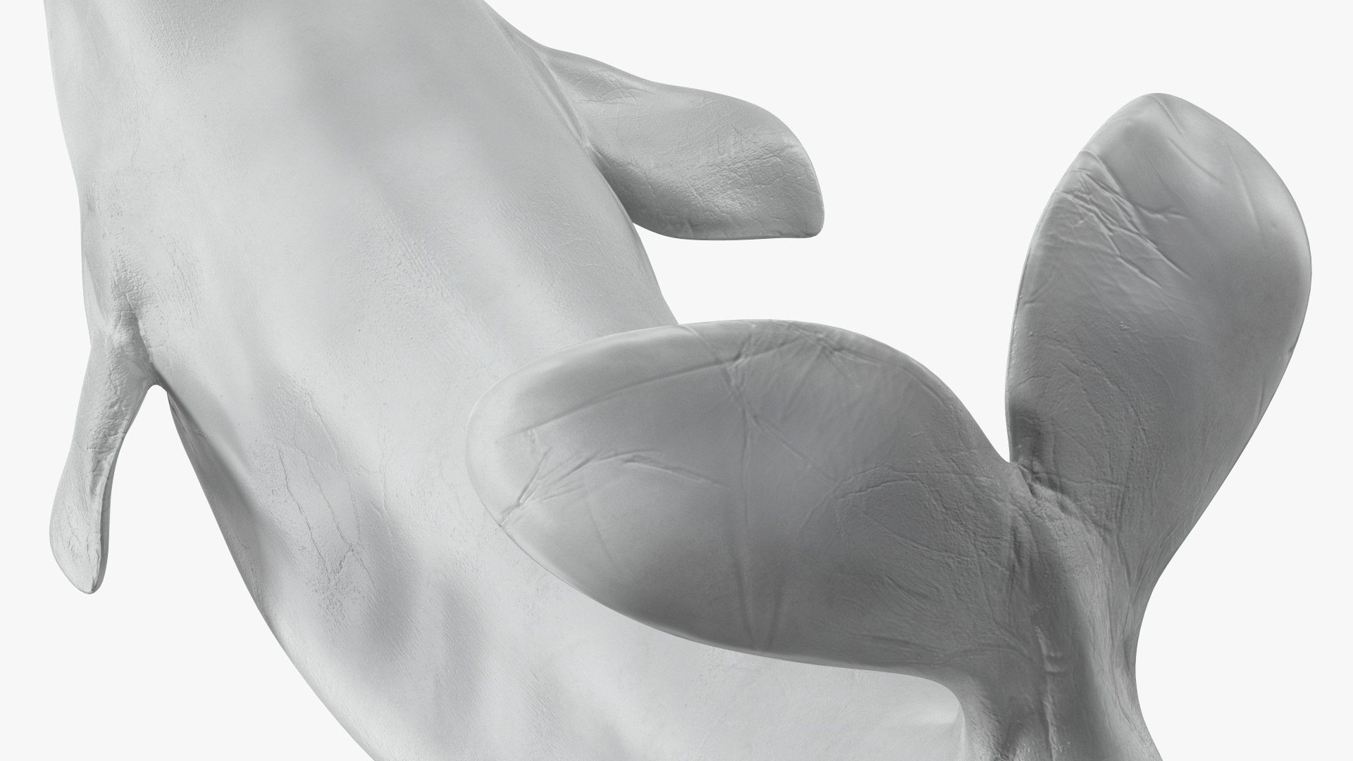 Beluga Whale Adult Performance Pose 3D model https://p.turbosquid.com/ts-thumb/PX/udkfDx/Hw/belugawhaleadultperformancepose3dsmodel015/jpg/1676364646/1920x1080/fit_q87/2a33df65243fca3b4b70100d087e97f80398d9ac/belugawhaleadultperformancepose3dsmodel015.jpg