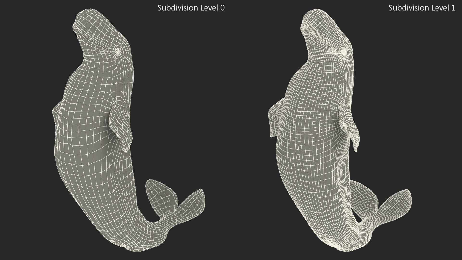 Beluga Whale Adult Performance Pose 3D model https://p.turbosquid.com/ts-thumb/PX/udkfDx/UO/belugawhaleadultperformancepose3dsmodel017/jpg/1676364652/1920x1080/fit_q87/ae3508973ef17dacab92d9b079d9022cbd38755d/belugawhaleadultperformancepose3dsmodel017.jpg
