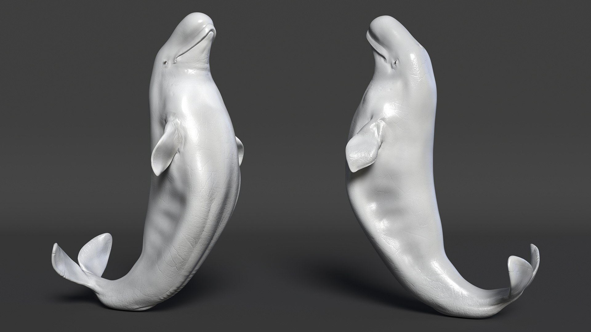 Beluga Whale Adult Performance Pose 3D model https://p.turbosquid.com/ts-thumb/PX/udkfDx/eI/belugawhaleadultperformancepose3dsmodel007/jpg/1676364620/1920x1080/fit_q87/da198f89624420c2f127bb9eadb38206053614fd/belugawhaleadultperformancepose3dsmodel007.jpg