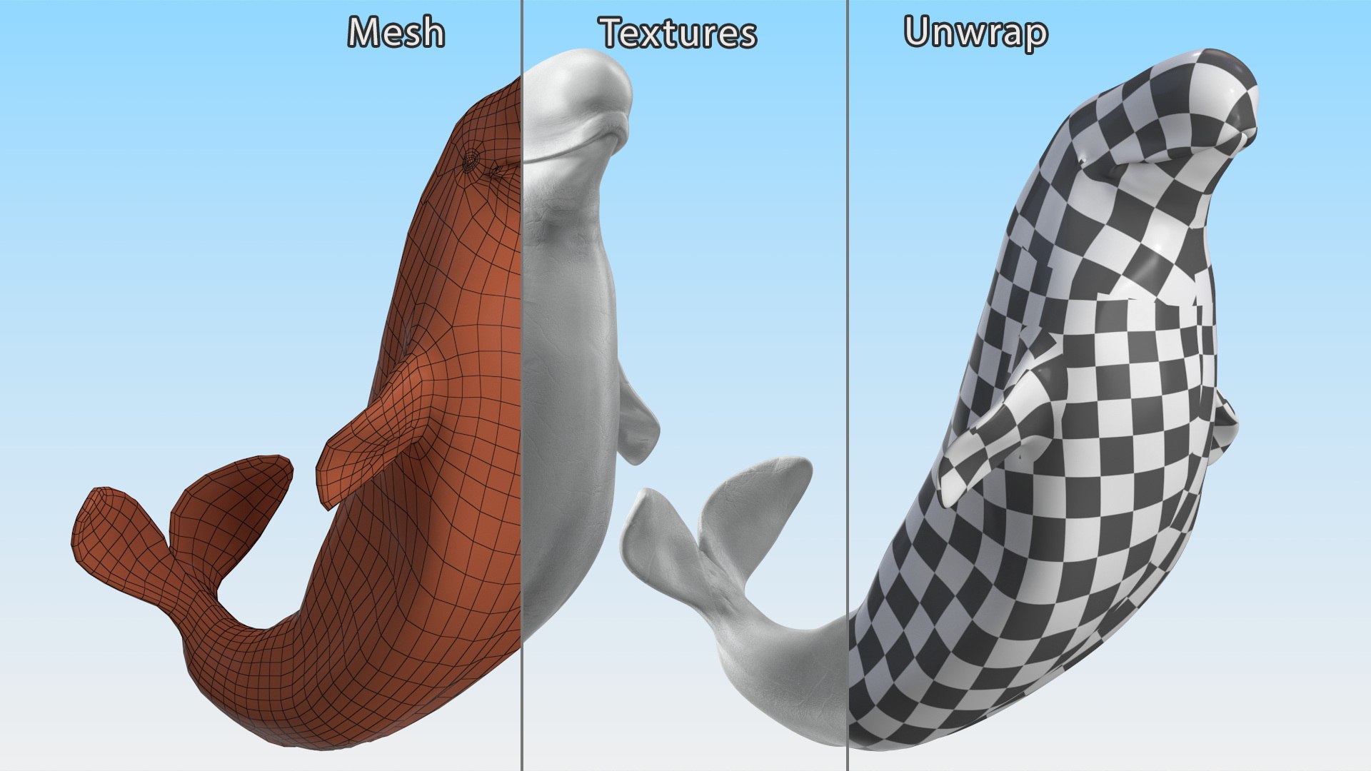 Beluga Whale Adult Performance Pose 3D model https://p.turbosquid.com/ts-thumb/PX/udkfDx/gb/belugawhaleadultperformancepose3dsmodel016/jpg/1676364649/1920x1080/fit_q87/5e254d187b4586e736782cfb7ae3a041f86b0ee6/belugawhaleadultperformancepose3dsmodel016.jpg