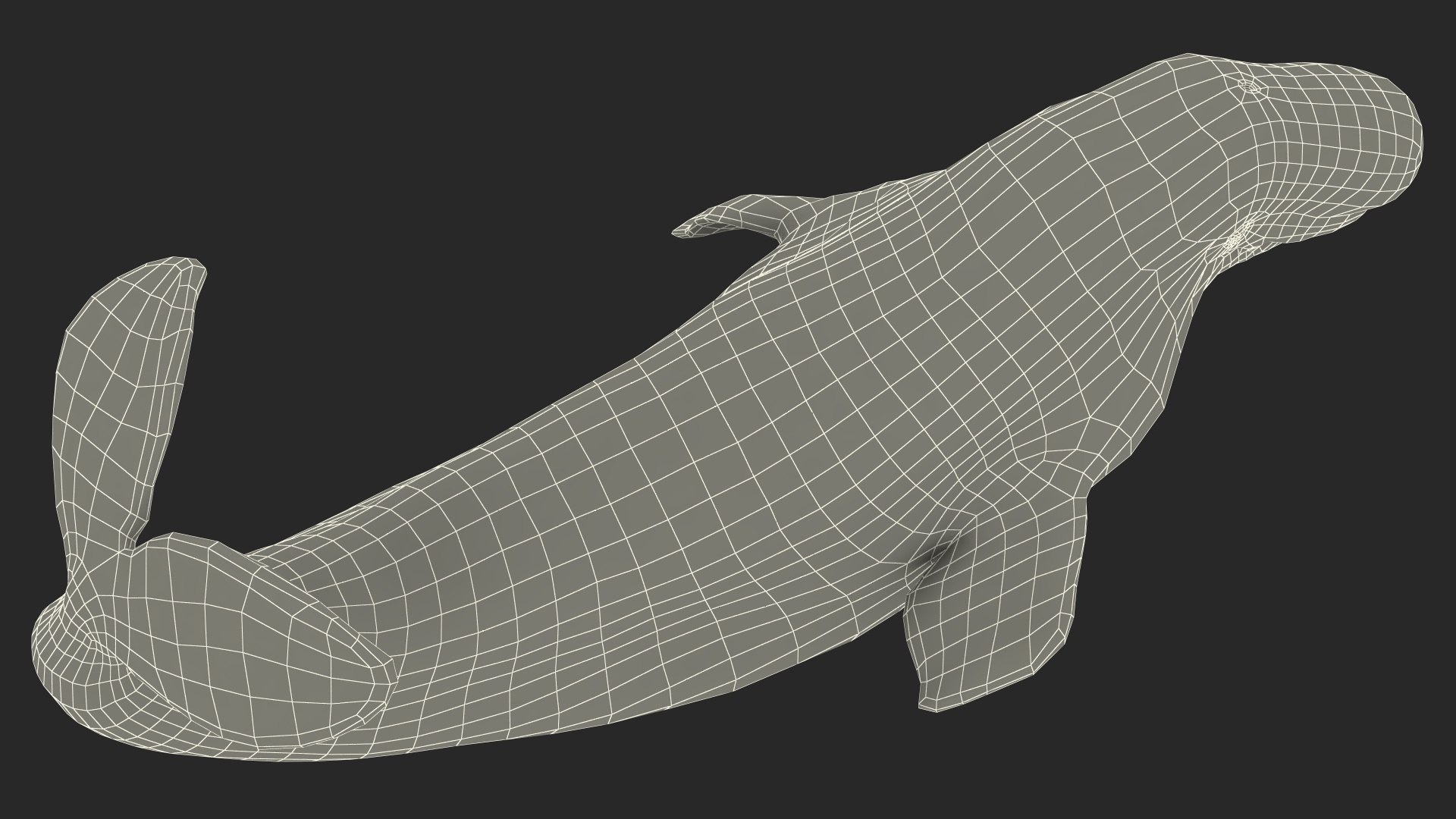 Beluga Whale Adult Performance Pose 3D model https://p.turbosquid.com/ts-thumb/PX/udkfDx/mQ/belugawhaleadultperformancepose3dsmodel027/jpg/1676364688/1920x1080/fit_q87/b09027b914f1a455ce87d014ab421f8605ad9a29/belugawhaleadultperformancepose3dsmodel027.jpg
