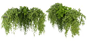 Collection plant vol 248 - blender model 3D model