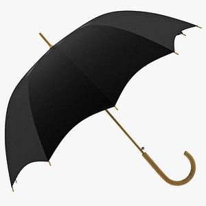 open umbrella 3d model