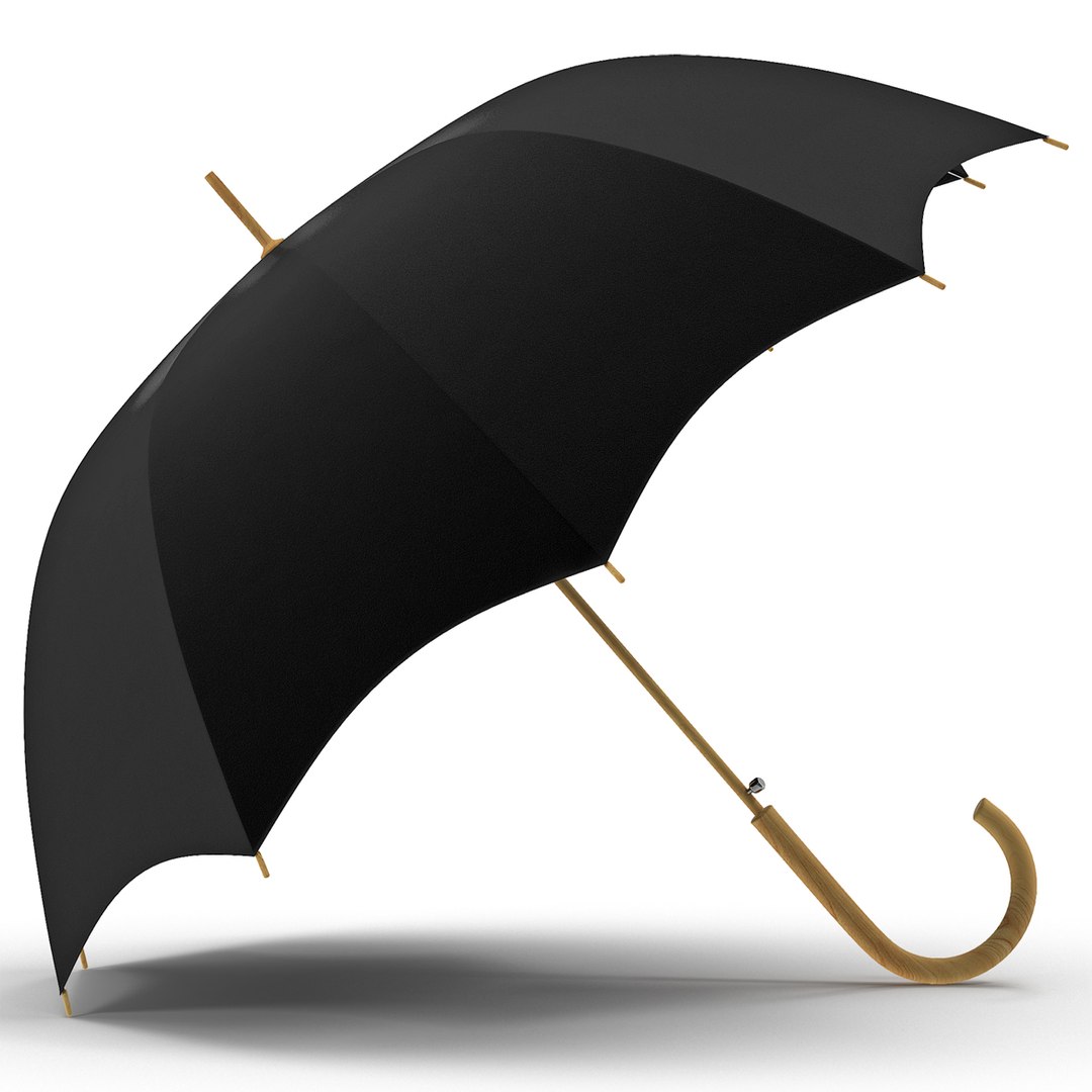 Open Umbrella 3D model preview