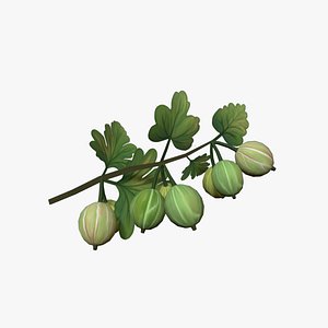 3D Gooseberry sprig stylized plant