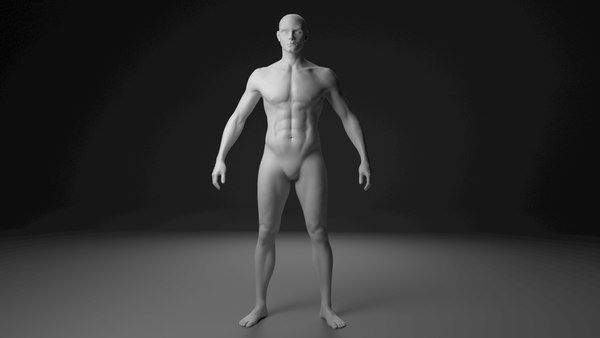 3D male base mesh