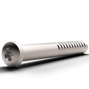 Screw