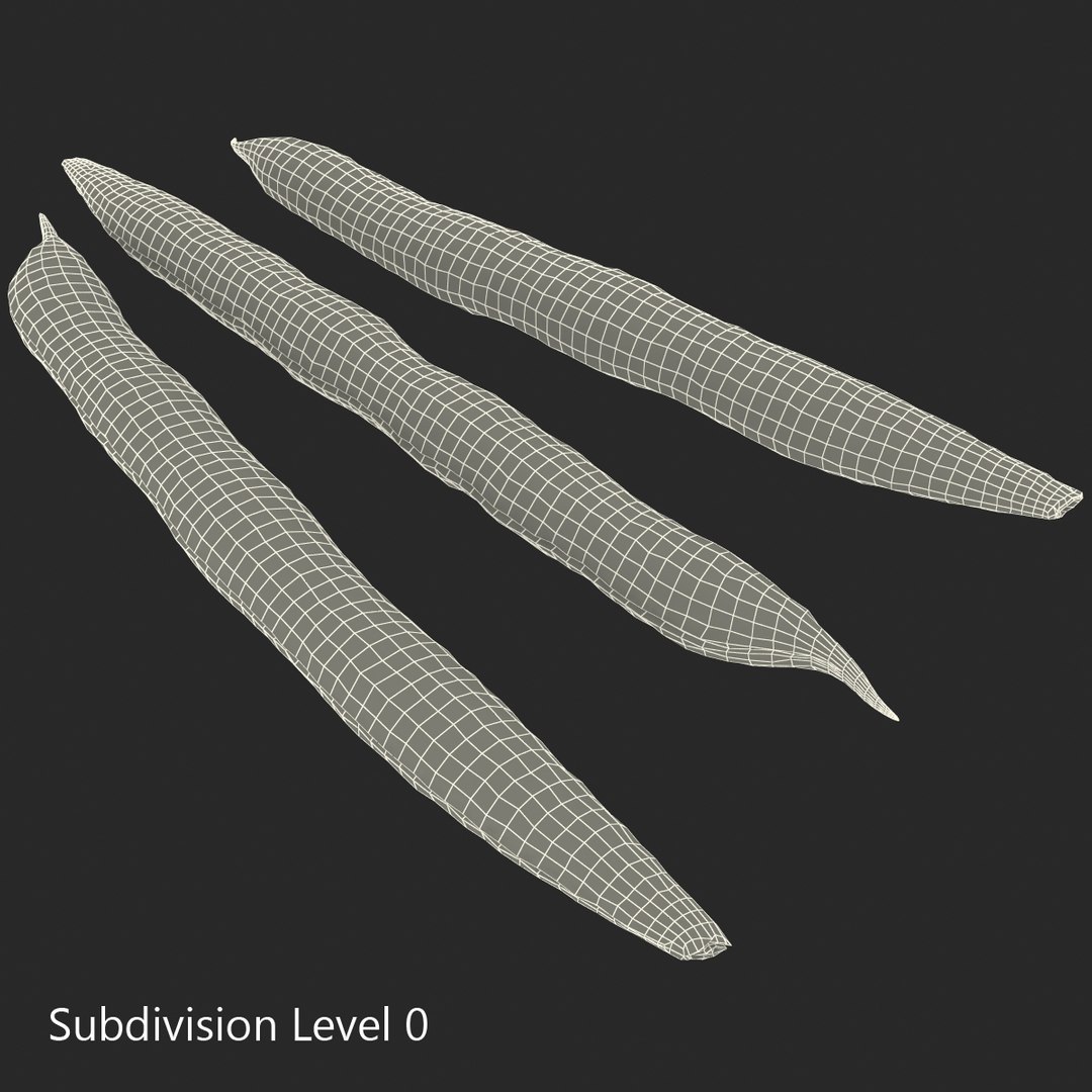 3d model green beans https://p.turbosquid.com/ts-thumb/PY/LkS5X0/AqI2GUfg/greenbeans_6/jpg/1398299382/1920x1080/fit_q87/ad6d2f0d77b12688edcd8e0c1b0cd78f3dd2ccdc/greenbeans_6.jpg