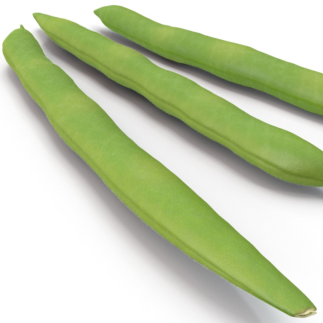 3d model green beans https://p.turbosquid.com/ts-thumb/PY/LkS5X0/DHx9ZTCO/greenbeans_16/jpg/1398299409/1920x1080/fit_q87/825dd51d071583fff6a6529cf25fa4a2c5c400d0/greenbeans_16.jpg