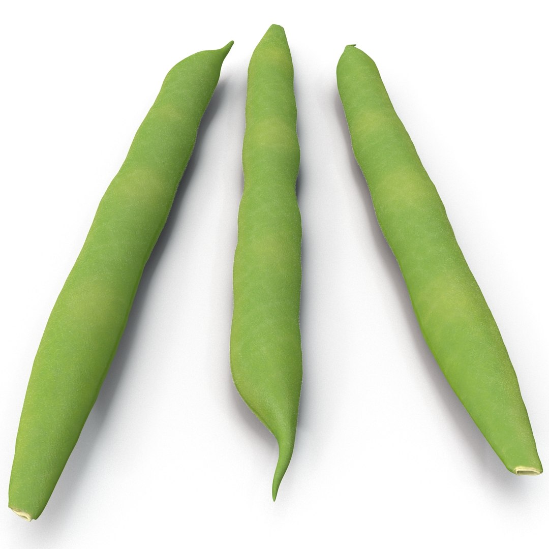 3d model green beans https://p.turbosquid.com/ts-thumb/PY/LkS5X0/DTHG74xN/greenbeans_14/jpg/1398299408/1920x1080/fit_q87/035eeb6c1ff9d3b7c9ea48d3836bd7c27f385b71/greenbeans_14.jpg