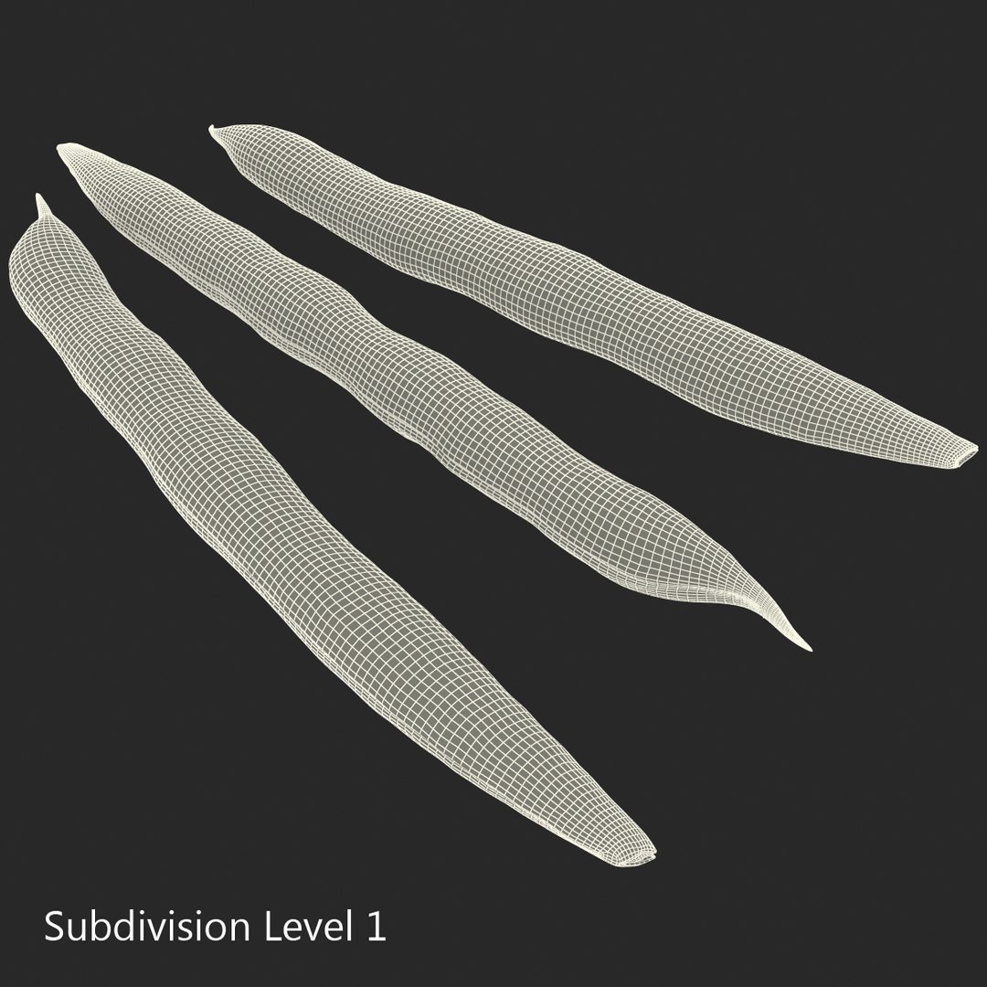 3d model green beans https://p.turbosquid.com/ts-thumb/PY/LkS5X0/Fe5OXwCP/greenbeans_7/jpg/1398299380/1920x1080/fit_q87/0778c7b9a2d9904ce1a0ba247bc0e6f7184c324f/greenbeans_7.jpg