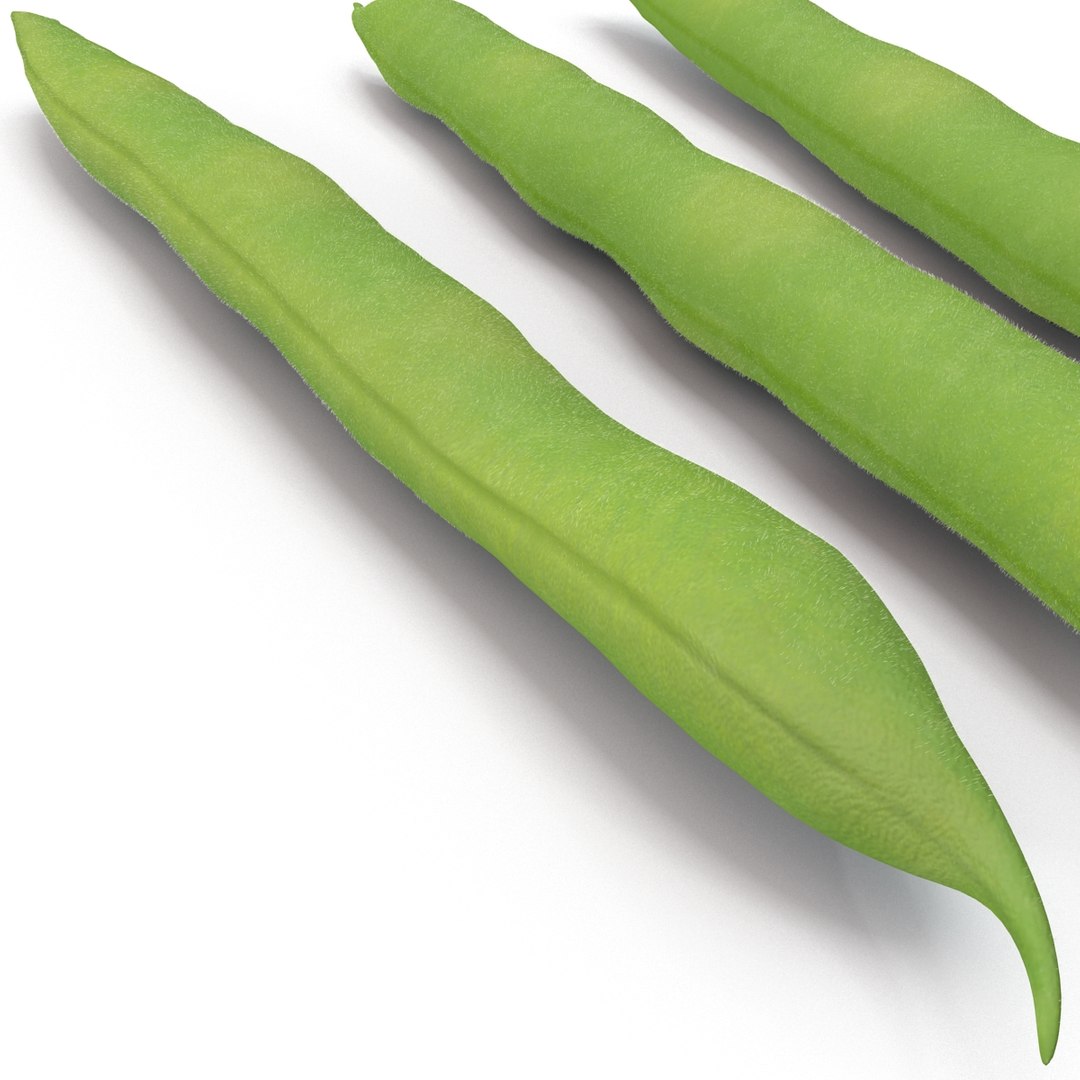 3d model green beans https://p.turbosquid.com/ts-thumb/PY/LkS5X0/MTNbXKlb/greenbeans_17/jpg/1398299418/1920x1080/fit_q87/23b36d8012eefcf42419fbdd8961c0ac737bda91/greenbeans_17.jpg