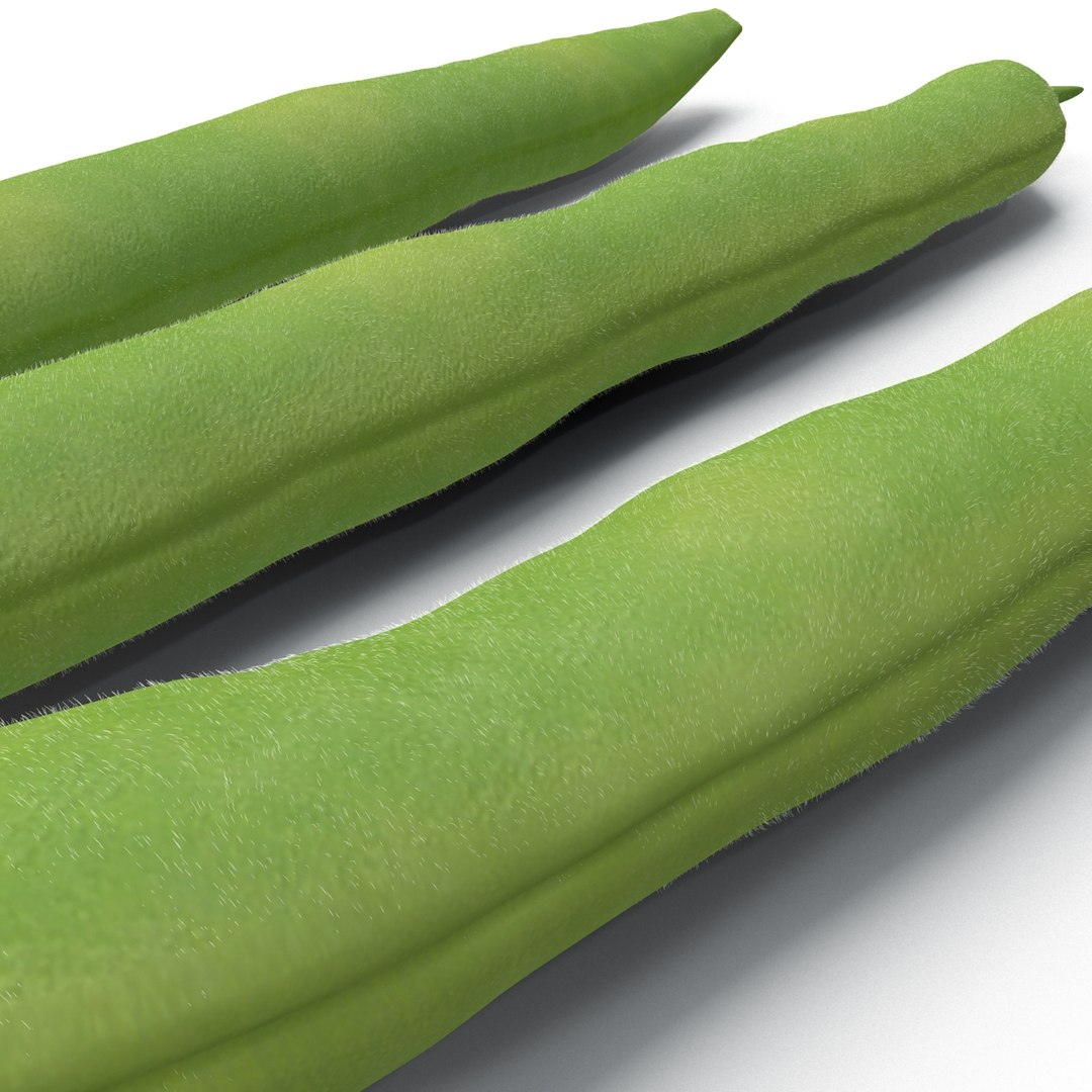 3d model green beans https://p.turbosquid.com/ts-thumb/PY/LkS5X0/OrSN4RvH/greenbeans_20/jpg/1398299424/1920x1080/fit_q87/5561af22c06191270d38fce0aa6434f970917a42/greenbeans_20.jpg
