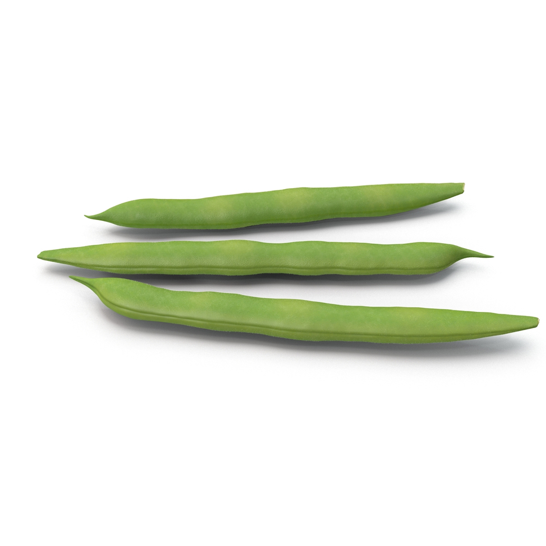 3d model green beans https://p.turbosquid.com/ts-thumb/PY/LkS5X0/YgDwzFnD/turntablefile_360/jpg/1398299460/1920x1080/turn_fit_q99/92bc2e6708fcc046a633c28bb855eb62ba25cb6d/turntablefile_360-1.jpg