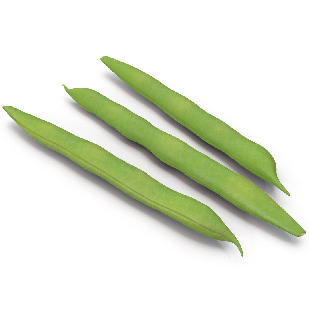 3d model green beans https://p.turbosquid.com/ts-thumb/PY/LkS5X0/Zvm8rRtG/greenbeans_11/jpg/1398299399/1920x1080/fit_q87/2a73795c955990e42b2bea1d12225345b6cbdbb7/greenbeans_11.jpg