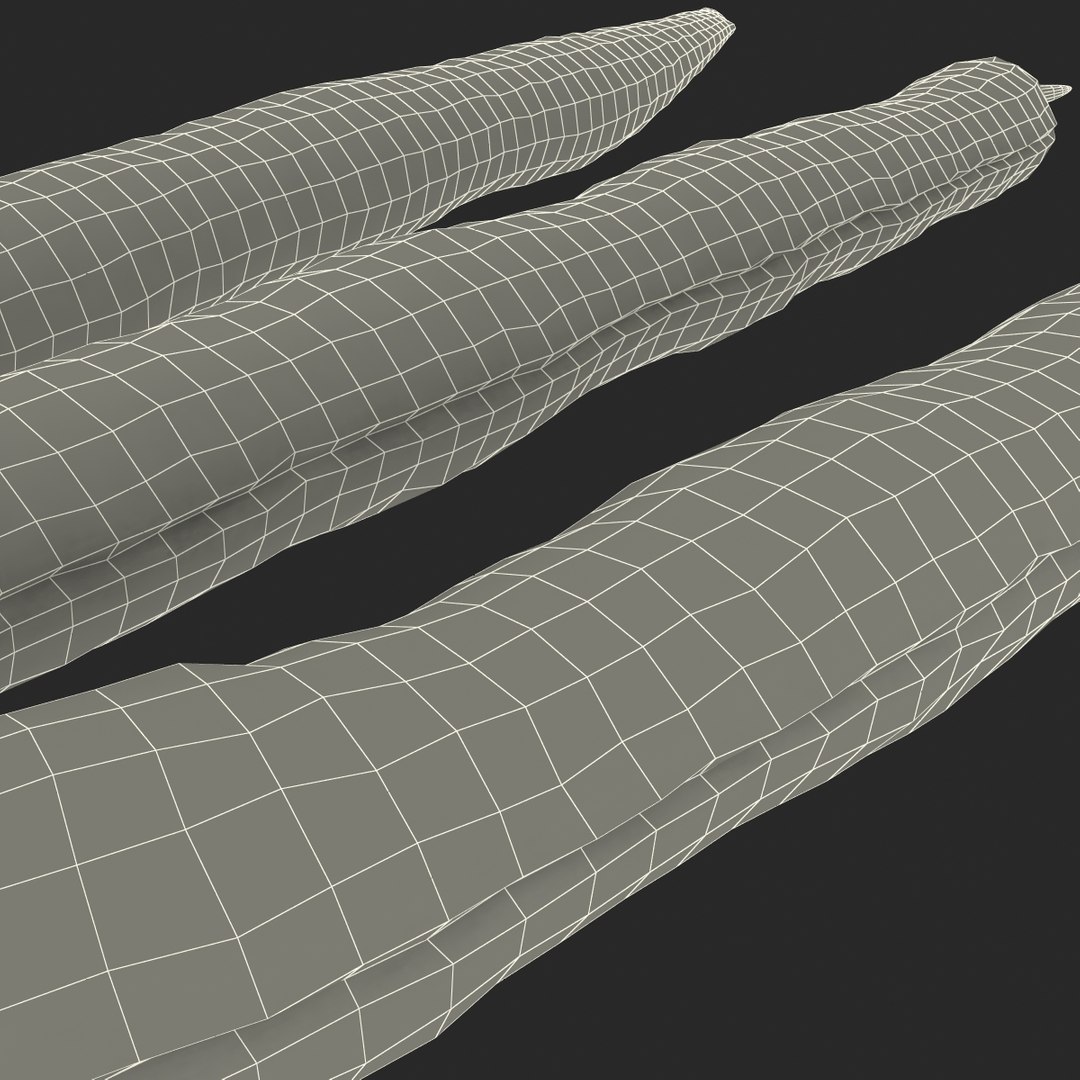 3d model green beans https://p.turbosquid.com/ts-thumb/PY/LkS5X0/ZxRZOrHf/greenbeans_28/jpg/1398299457/1920x1080/fit_q87/b8d4ed6c737e4ab9aef25f2f88fdf196c963d863/greenbeans_28.jpg