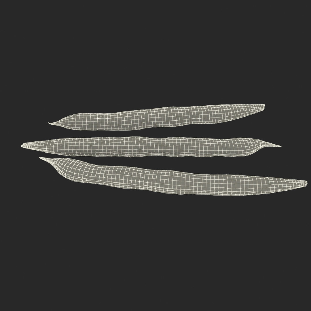 3d model green beans https://p.turbosquid.com/ts-thumb/PY/LkS5X0/fcePBGft/turntablefile_361/jpg/1398299678/1920x1080/turn_fit_q99/dd4a0a3cab4aa822e5bcf206fddbc3d806f6ac01/turntablefile_361-1.jpg