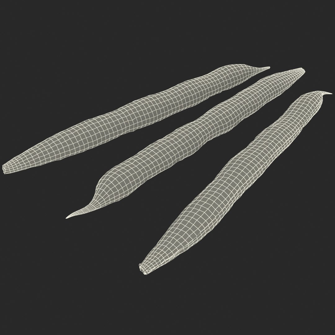 3d model green beans https://p.turbosquid.com/ts-thumb/PY/LkS5X0/fgpkIb0F/greenbeans_21/jpg/1398299427/1920x1080/fit_q87/30d802480c2cf56529619f91ce2c4c243c62b832/greenbeans_21.jpg