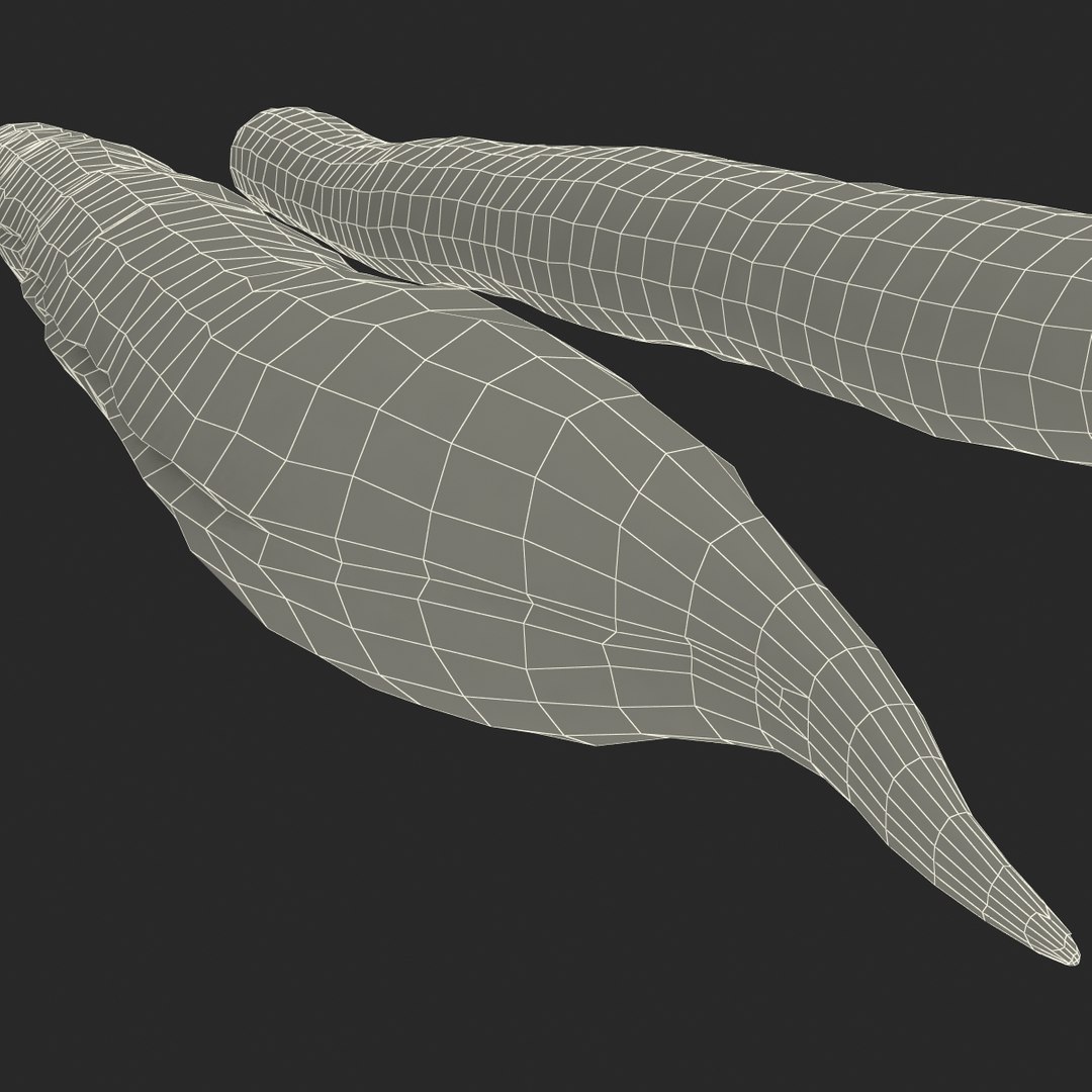 3d model green beans https://p.turbosquid.com/ts-thumb/PY/LkS5X0/ixUbmdJb/greenbeans_27/jpg/1398299453/1920x1080/fit_q87/f03082acfcea4b60494a93affd4c687bfa803ff3/greenbeans_27.jpg