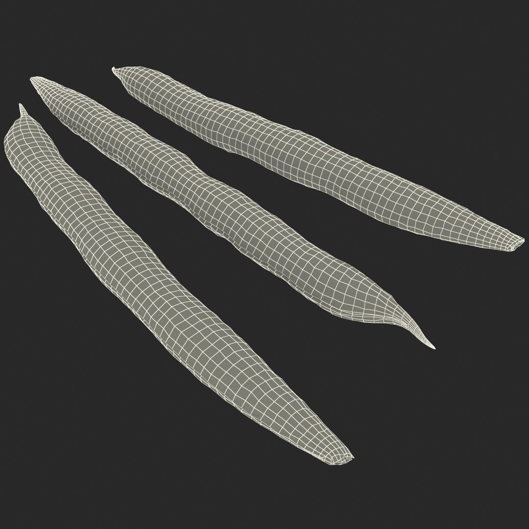 3d model green beans https://p.turbosquid.com/ts-thumb/PY/LkS5X0/q35NIP0x/greenbeans_23/jpg/1398299439/1920x1080/fit_q87/00d758e95da8c302ab2242f14a214aeb21de0d1b/greenbeans_23.jpg