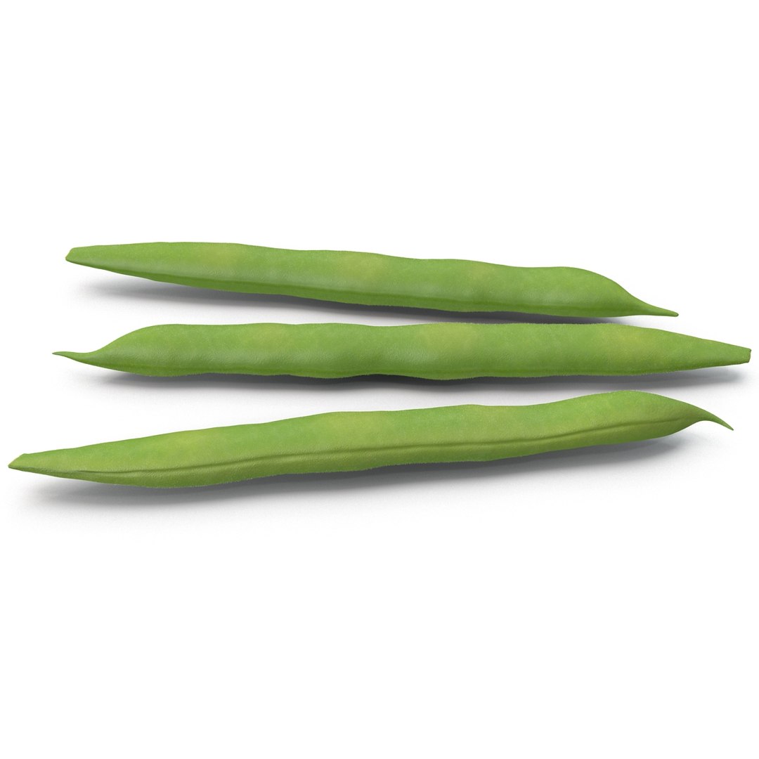 3d model green beans https://p.turbosquid.com/ts-thumb/PY/LkS5X0/rntjDQwb/greenbeans_12/jpg/1398299397/1920x1080/fit_q87/c5f7231b30524011e71e9fecc59e482f12db12b7/greenbeans_12.jpg