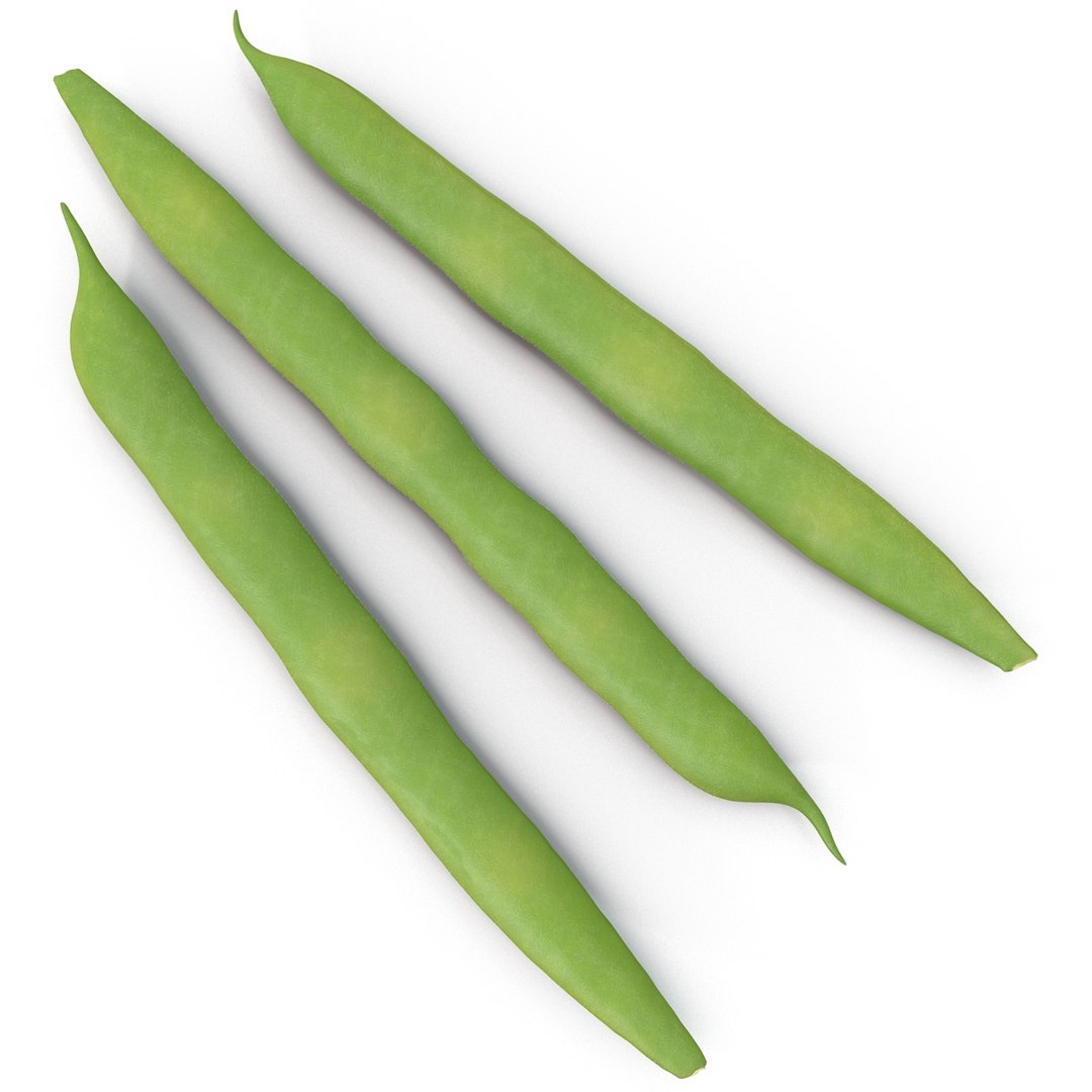 3d model green beans https://p.turbosquid.com/ts-thumb/PY/LkS5X0/yqVaniKb/greenbeans_15/jpg/1398299412/1920x1080/fit_q87/8d4b0125fbc525c3a8b14d0b60282989c11f2272/greenbeans_15.jpg