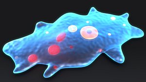 3d amoeba protists organism