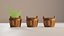 Wooden Bucket