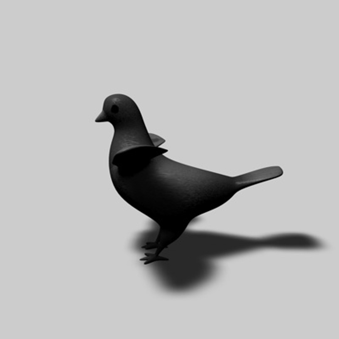 3d Pigeon Model