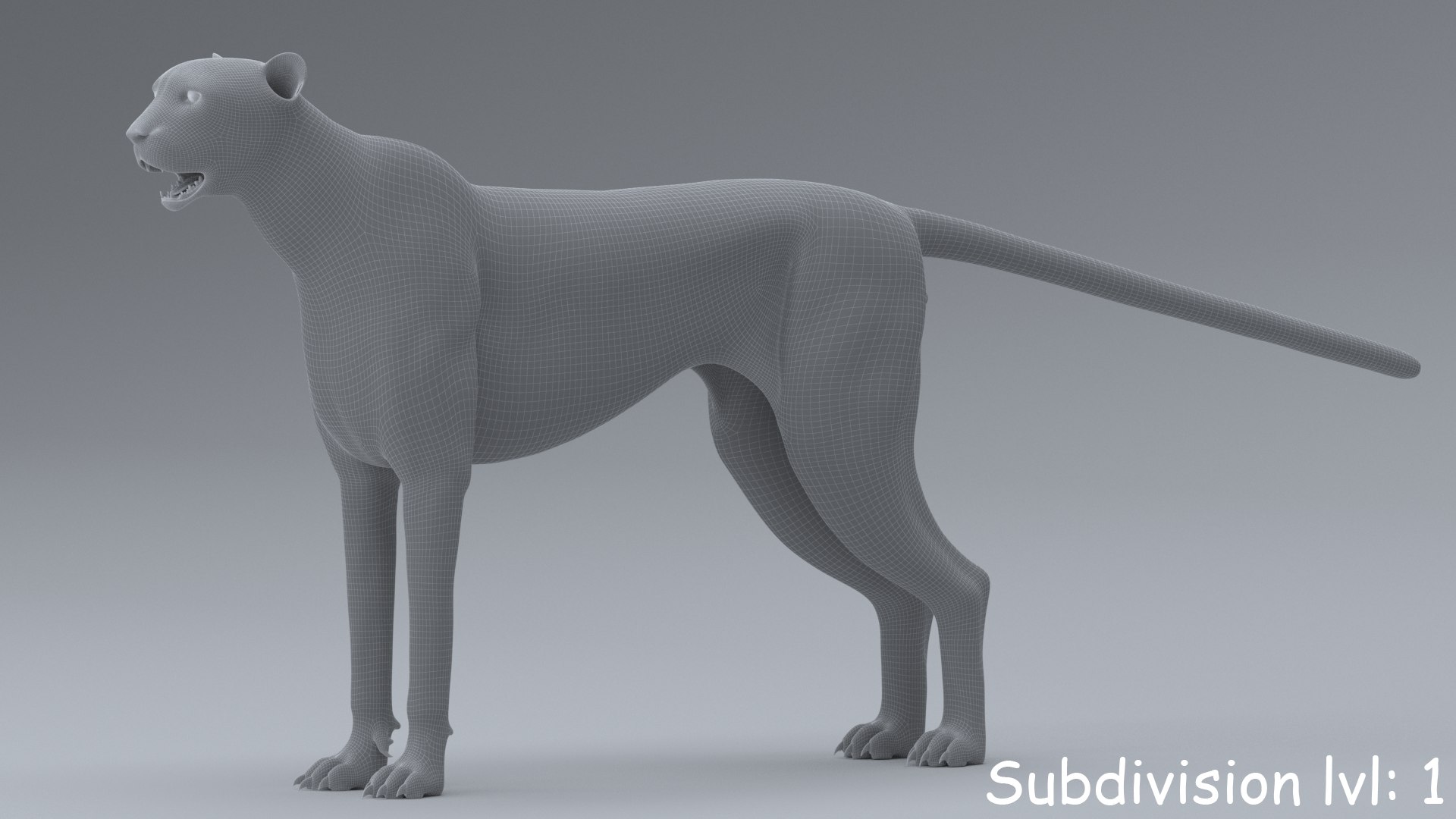 cheetah 3D model https://p.turbosquid.com/ts-thumb/PY/eMdpMQ/2GwMPSbI/sub2/png/1570706256/1920x1080/fit_q87/28a433c9620aaa8a5209febb6689ba12f6af1c10/sub2.jpg