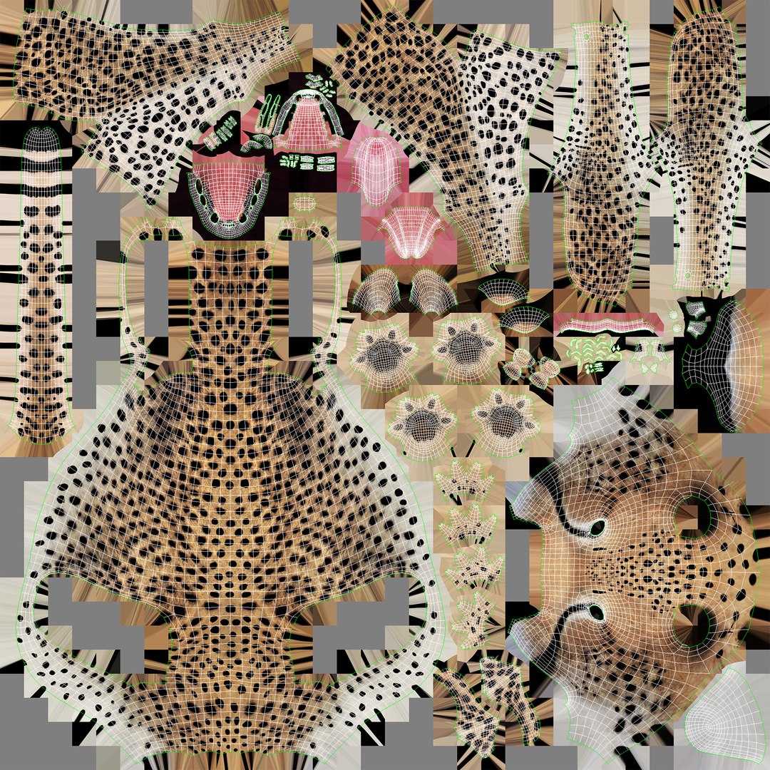 cheetah 3D model https://p.turbosquid.com/ts-thumb/PY/eMdpMQ/HMIh9Its/uvs/png/1546263810/1920x1080/fit_q87/5bf97fad8a96b735570ceea612e88243664bdb74/uvs.jpg