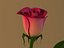 3d rose vase model