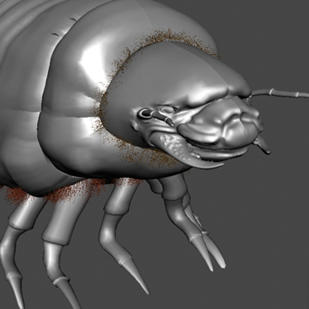 maya scarab beetles https://p.turbosquid.com/ts-thumb/PY/nCGrH5/JHtO3qId/9/png/1236720651/1920x1080/fit_q87/1d2e54029bab3f9e1a24ad66b1aa38f40885cd4e/9.jpg