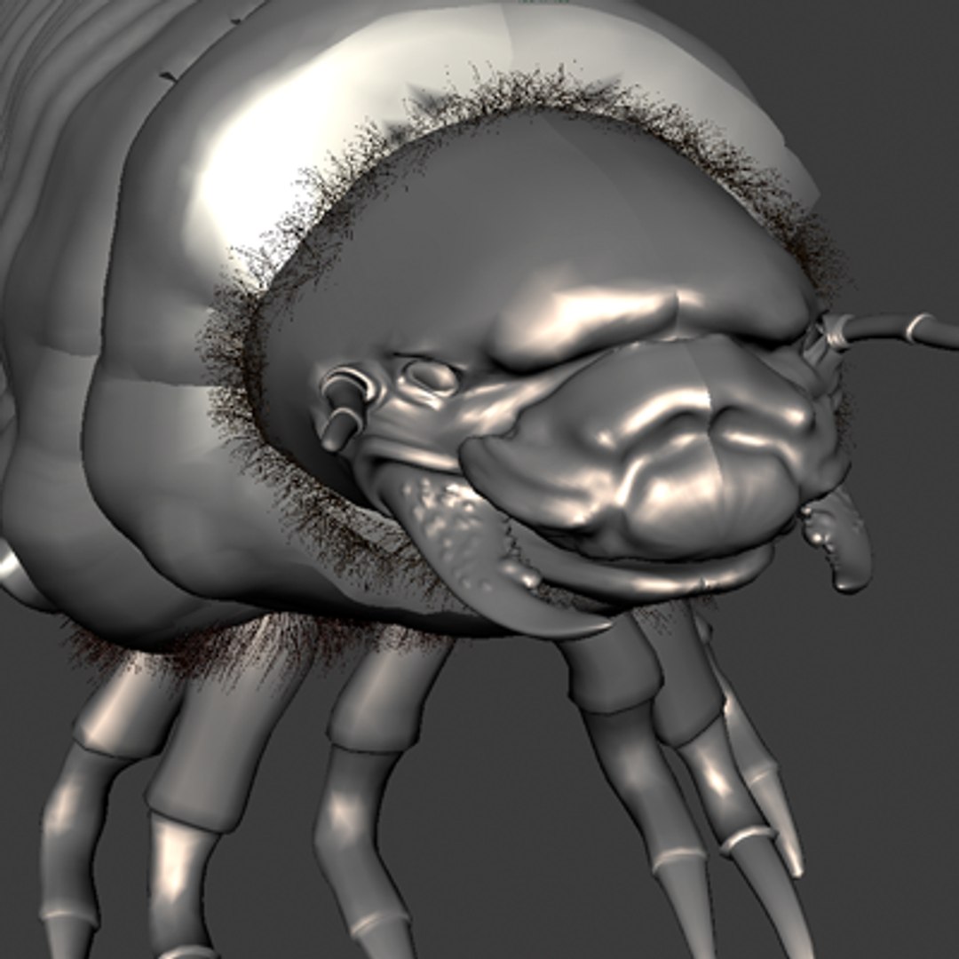 maya scarab beetles https://p.turbosquid.com/ts-thumb/PY/nCGrH5/VNeMFhjG/9_1/png/1236720656/1920x1080/fit_q87/002ad64f177cbb79da878144990d43969c12ad40/9_1.jpg