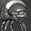 Scarab larva