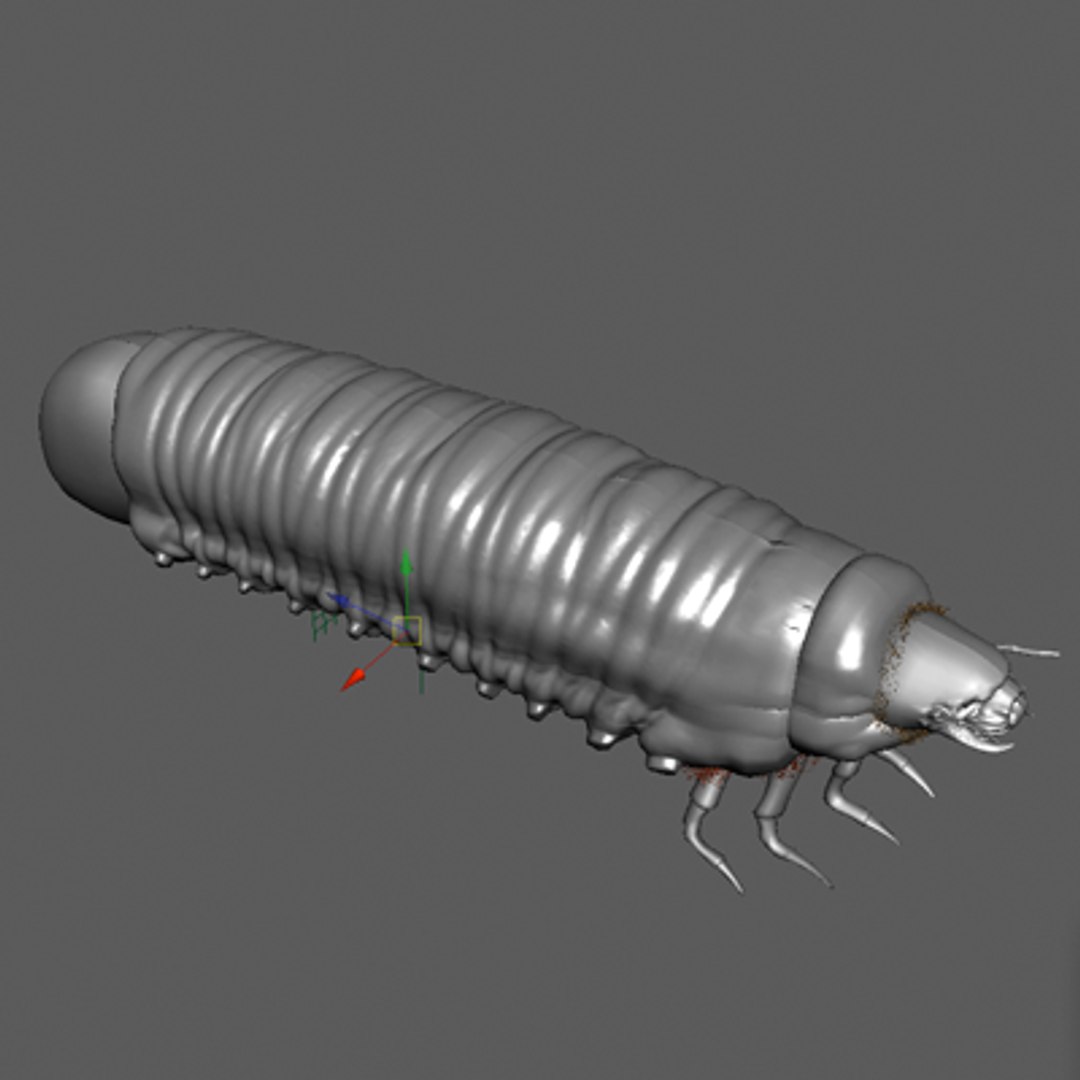 maya scarab beetles https://p.turbosquid.com/ts-thumb/PY/nCGrH5/wrHkmoq1/7/png/1236720638/1920x1080/fit_q87/f311bd387e3ef9fa266fc339c417122e568e41bd/7.jpg